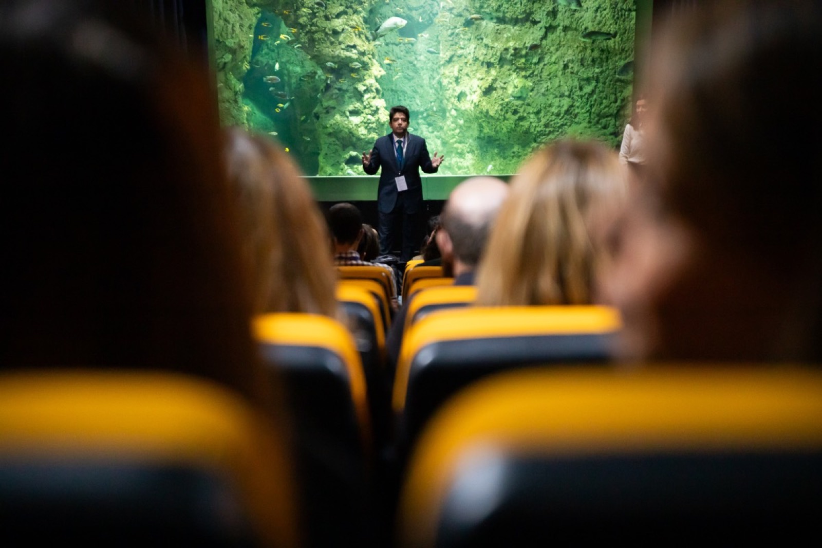 Ricardo Peñalver Profile